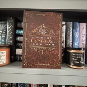 Photo Album inspired by An Enchantment of Ravens